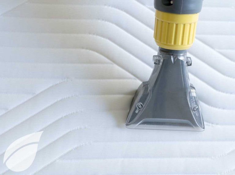Consejos para eliminar la sopa de champiñones derramada en la alfombra