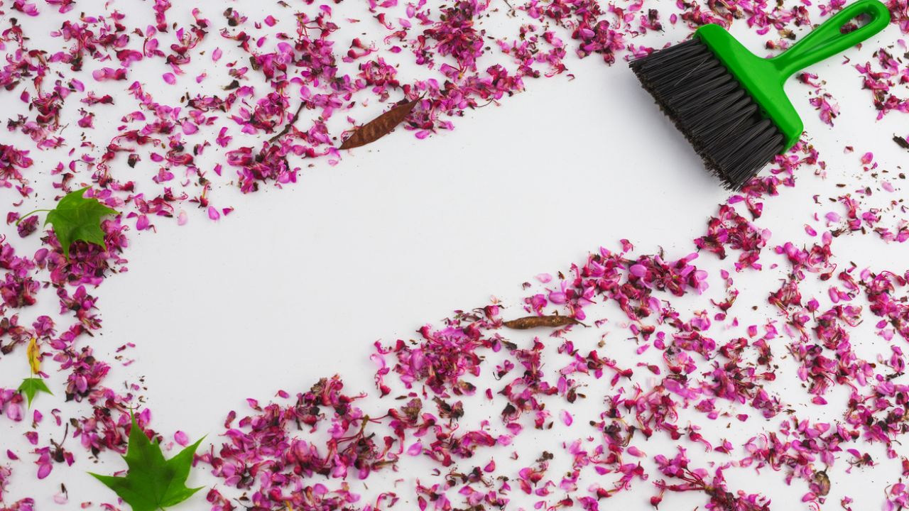 5 consejos de limpieza de primavera para incorporar a su rutina de 2021 carnation home cleaning 1