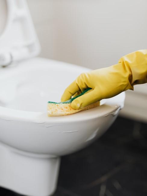 6 consejos de limpieza para mantener su inodoro absolutamente limpio 1