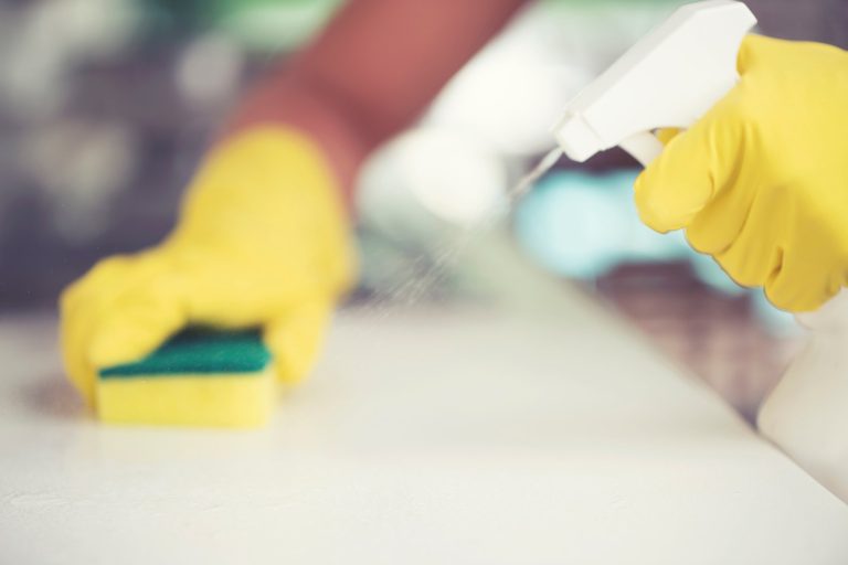 Cómo desinfectar su hogar para combatir enfermedades – Limpieza del hogar Carnation