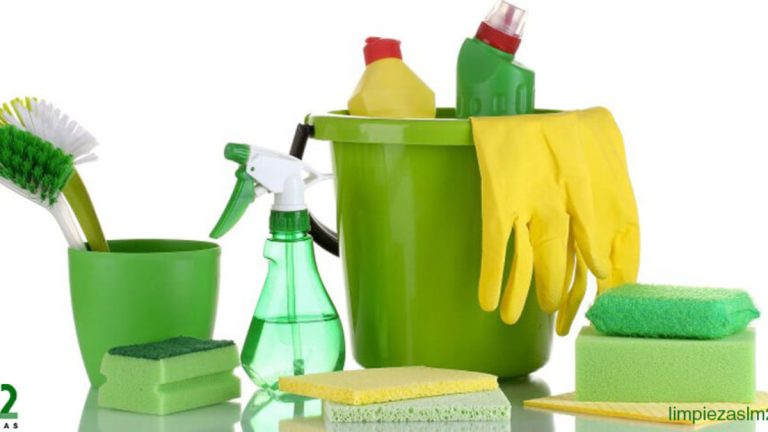 Conceptos básicos de limpieza del hogar: ¿Con qué frecuencia debe limpiar?  – Limpieza del hogar clavel