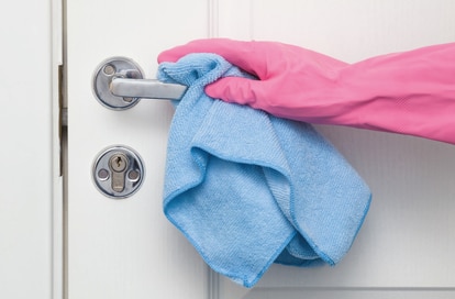 Desinfectar vs. Higienizar: ¿Cuál es la diferencia? – Limpieza del hogar clavel