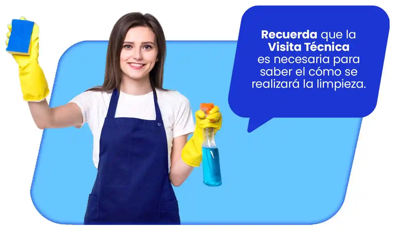 personal de limpieza de alfombras