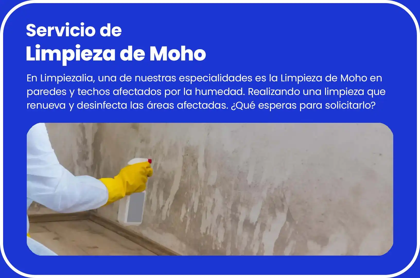 Servicio de Limpieza de Moho en Lima