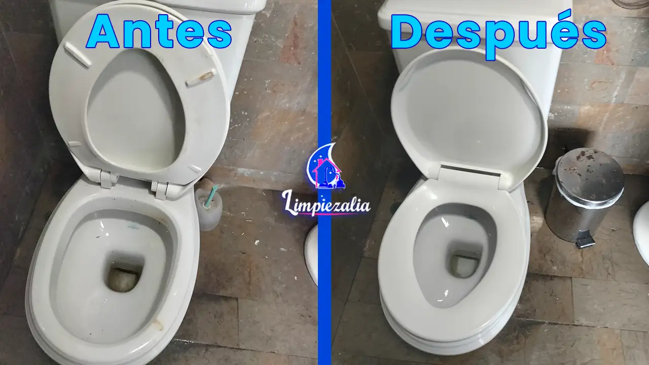 Limpieza de Baños A Domicilio 61 AD4 1