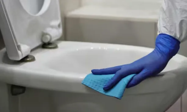 Limpieza de Baños A Domicilio 1 banos carrusel 1