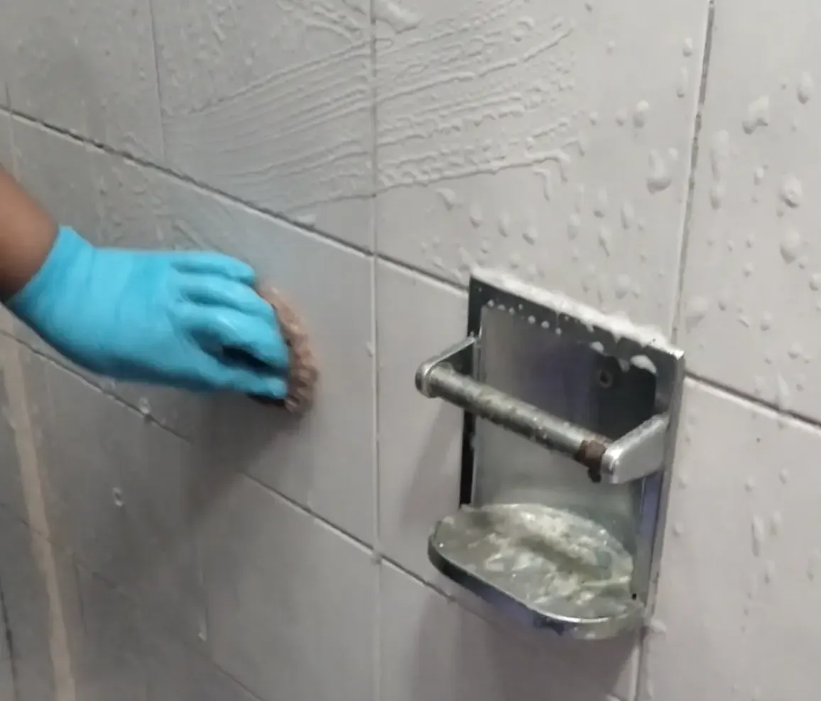 Limpieza de Baños A Domicilio 4 banos carrusel 4
