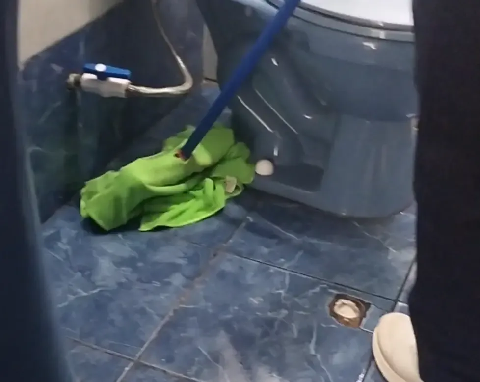 Limpieza de Baños A Domicilio 5 banos carrusel 5