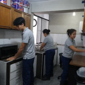 Lavado de Cocina 65 foto real