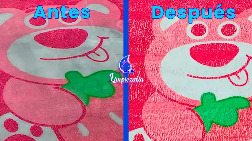 Resultado del lavado profesional de alfombras